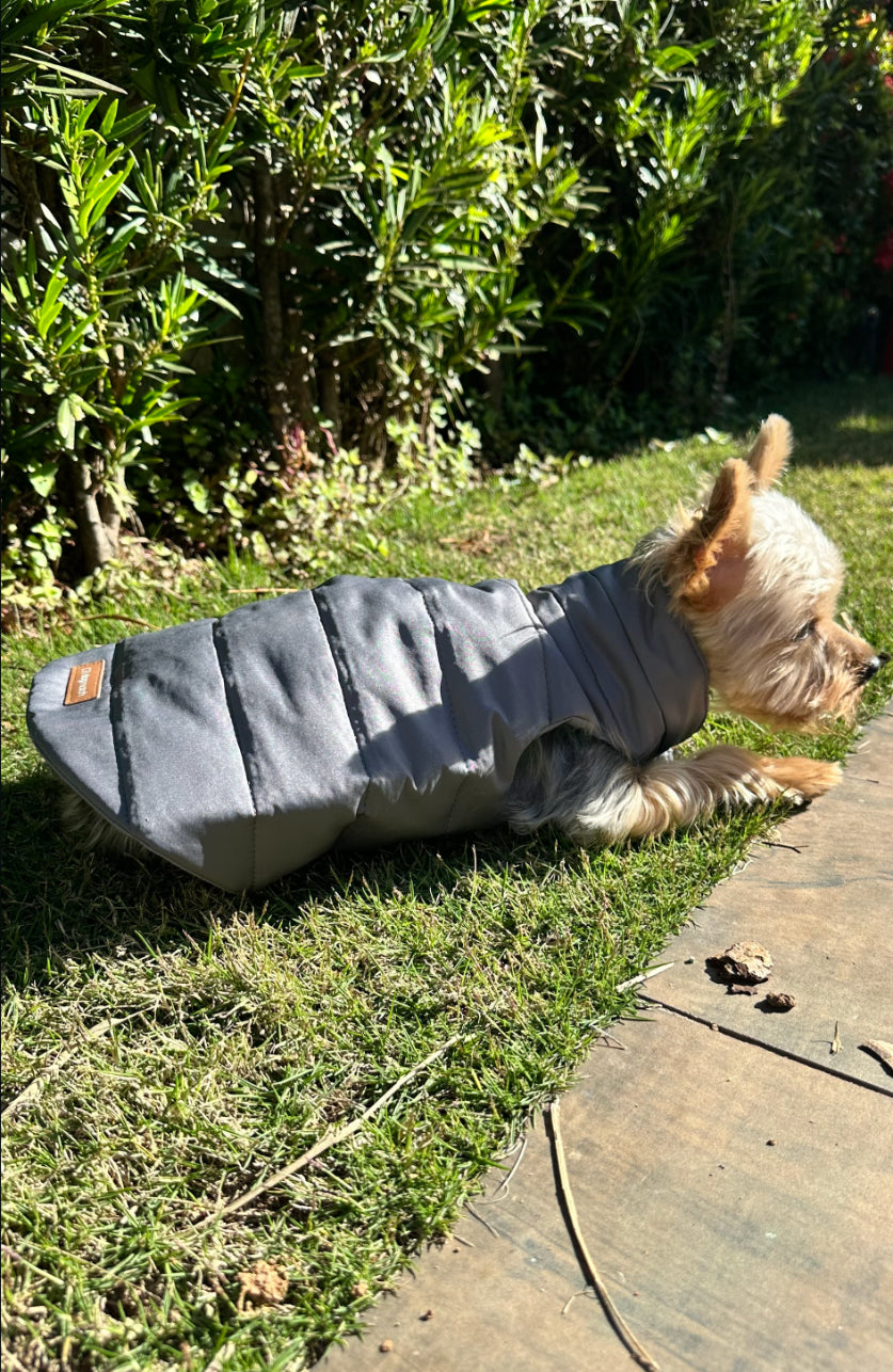 Colete Faria Limer Cinza-Chumbo – dogmatch PET